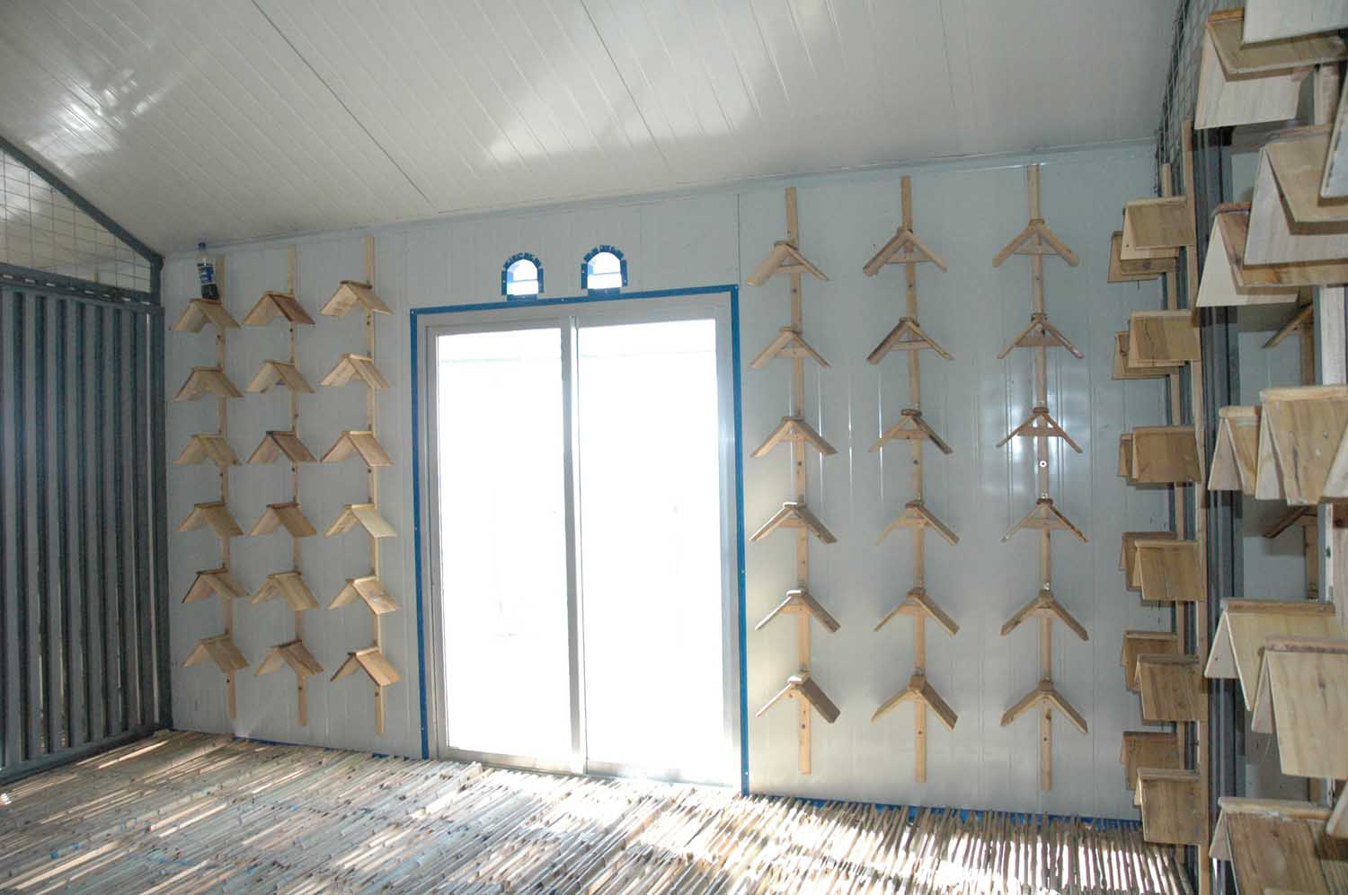 甘肃酒泉神舟赛鸽公棚相册--中国信鸽信息网各