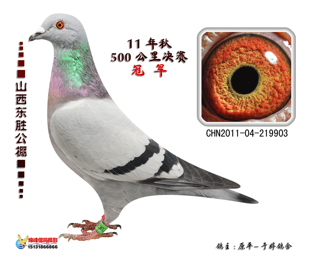 已经到底了