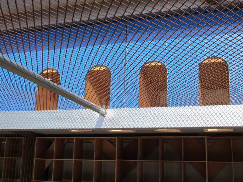 大连蓝翔赛鸽俱乐部相册--中国信鸽信息网各地