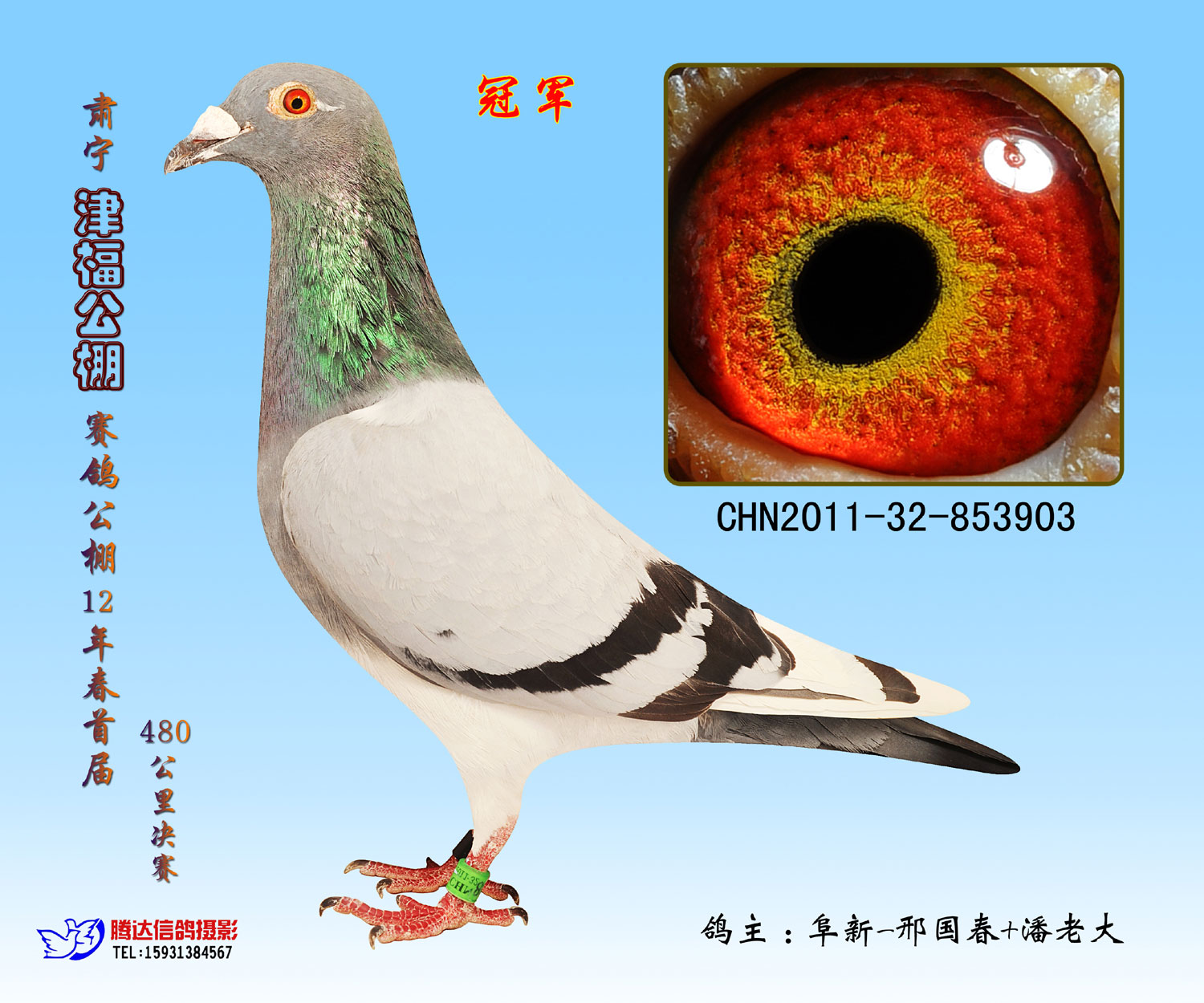 天津市天立国际赛鸽公棚图片查看-中国信鸽信息网各地公棚