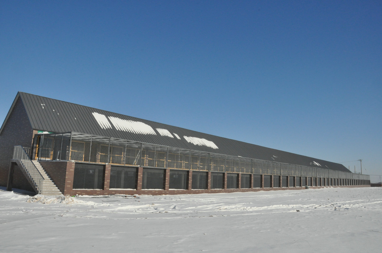 通辽立群公棚相册--中国信鸽信息网各地公棚