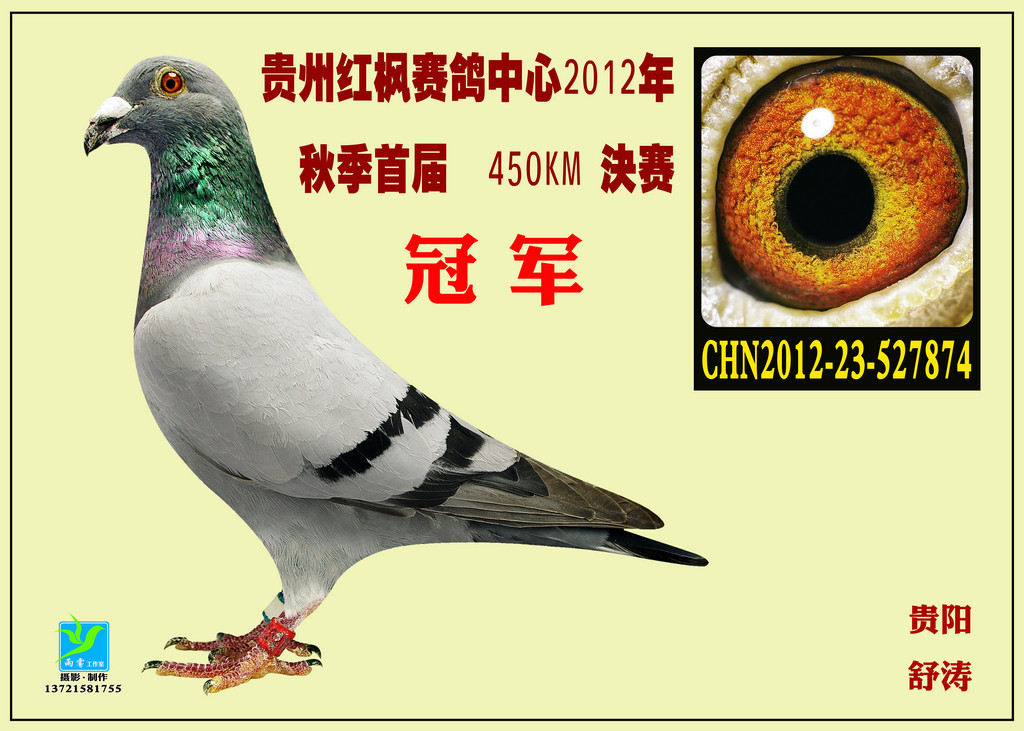 贵州红枫赛鸽中心相册--中国信鸽信息网各地公棚