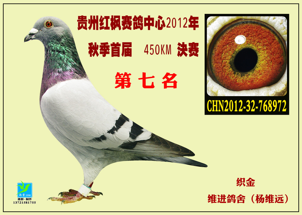 贵州红枫赛鸽中心相册--中国信鸽信息网各地公棚