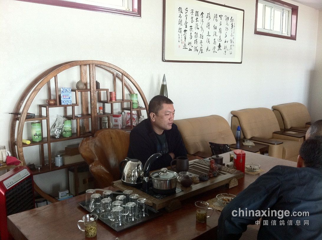 山西天利和赛鸽公棚-中国信鸽信息网各地公棚