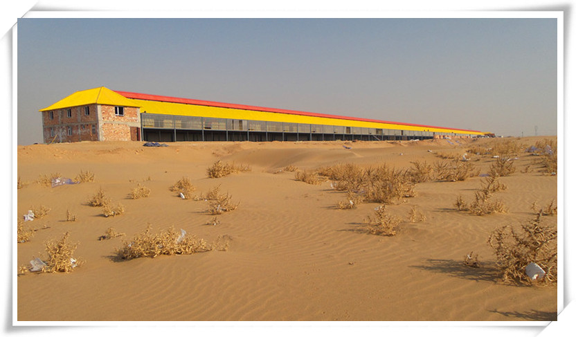 宁夏黄河赛鸽公棚-中国信鸽信息网各地公棚