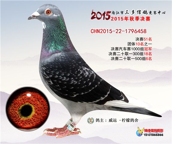 20151202113431540.jpg