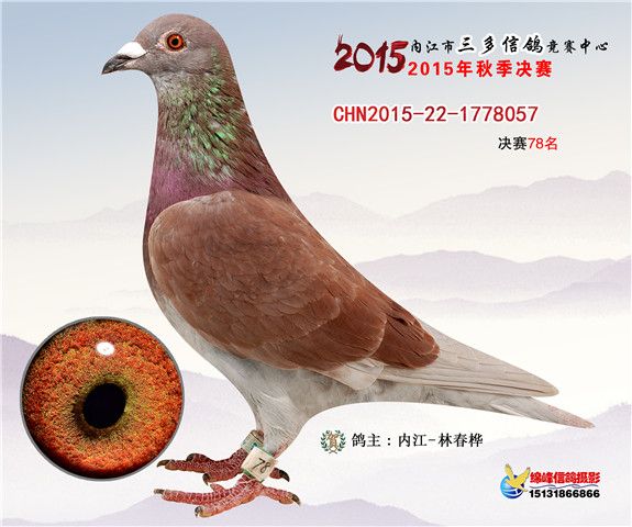 20151202113736407.jpg