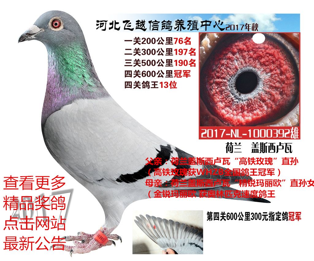 20171222180836.jpg