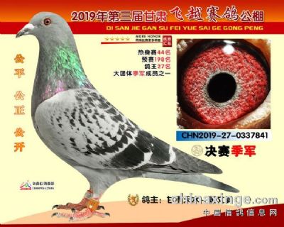 ͼƬչʾ