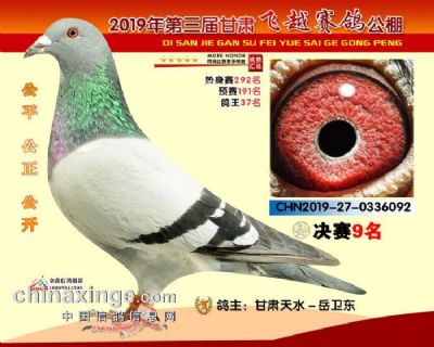 ͼƬչʾ