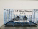 47ռڹ׸