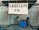 48ռڹ׸