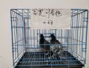 410ռڹ׸