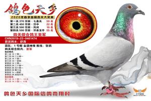 ��һ���Ĺ��ۺϸ����Ǿ�