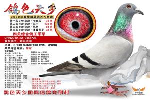 ��һ���Ĺ��ۺϸ�������