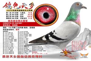 ��һ���Ĺ��ۺϸ������