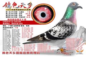 ��һ���Ĺ��ۺϸ�����5��