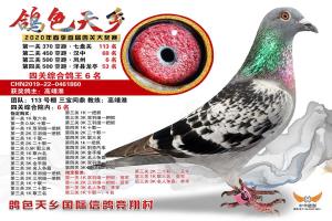 ��һ���Ĺ��ۺϸ�����6��