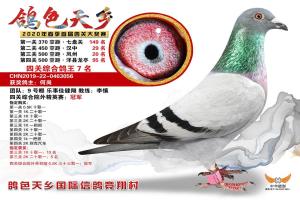 ��һ���Ĺ��ۺϸ�����7��