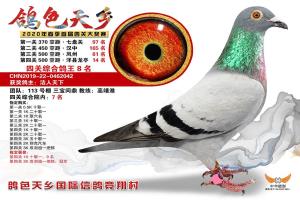 ��һ���Ĺ��ۺϸ�����8��