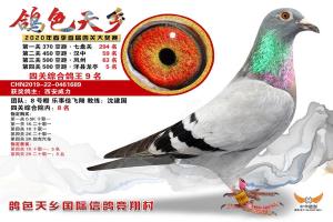 ��һ���Ĺ��ۺϸ�����9��