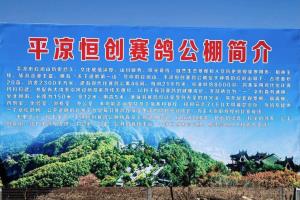 ƽ���㴴���빫��