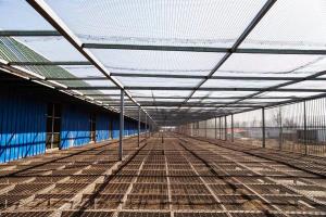 ƽ���㴴���빫��