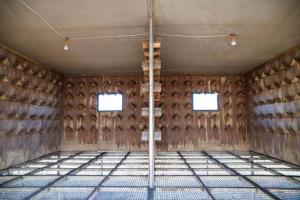 ƽ���㴴���빫��