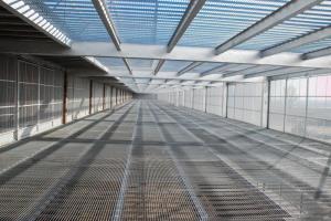 �Ÿ�ɹ����