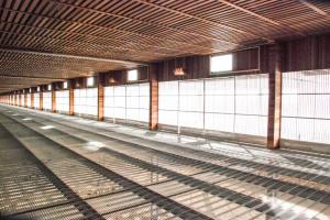 �Ÿ������