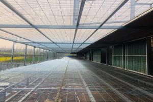 �����ڲ�