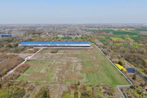 ����ȫ��