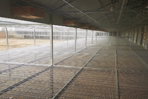 ����ʵ��