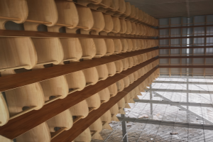 ����ʵ��