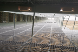 ����ʵ��