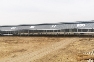 ����ʵ��