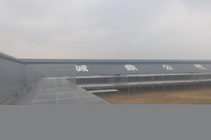 ����ʵ��