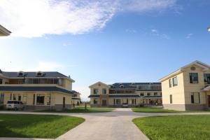 ������Ƭ