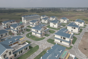 ������Ƭ