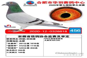 �������456