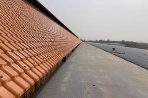 ֣�ݻ�Զ����