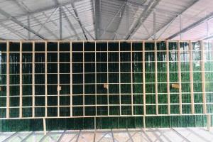 �����ڲ�