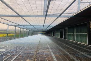 �����ڲ�