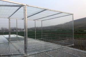 �����ڲ�