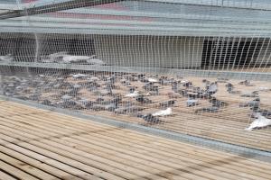 ɽ������������빫��