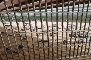 ɽ������������빫��