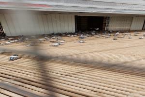 ɽ������������빫��