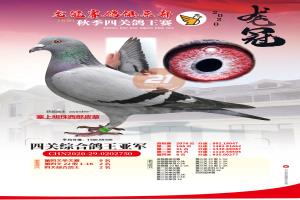 �����Ǿ�