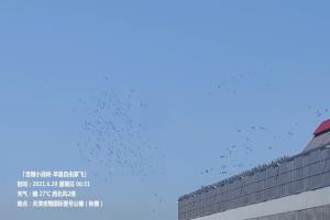 �����ճ���ѵ