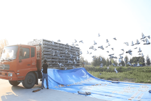 �����Ҽ������0����ѵ��